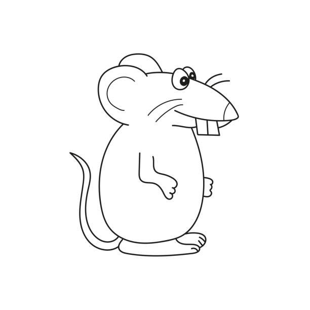Simple coloring page a cute rat linear vector illustration for coloring stock illustration