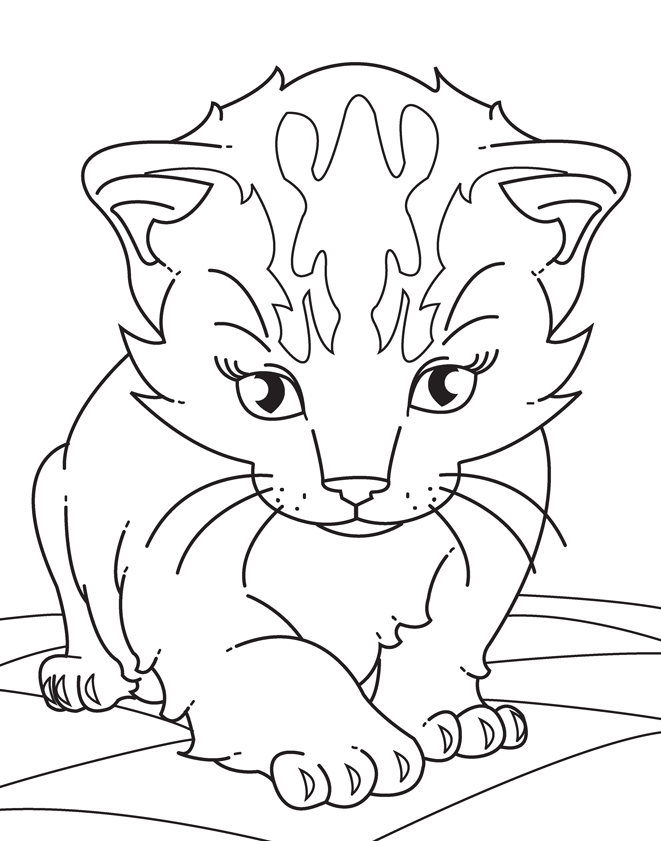 Coloring pages coloring realistic kitten page images