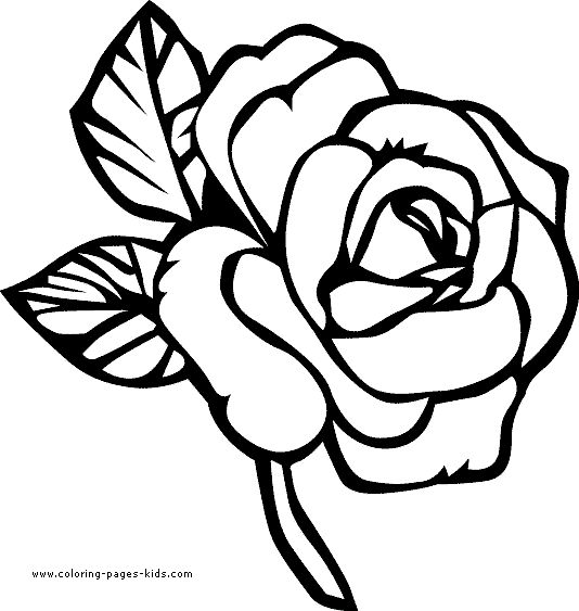 Pretty rose color page flower coloring pages printable flower coloring pages rose coloring pages