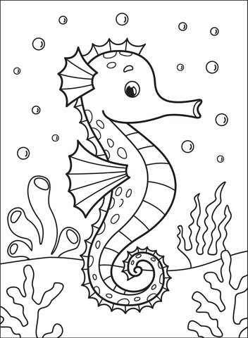 Seahorse coloring page free printable coloring pages