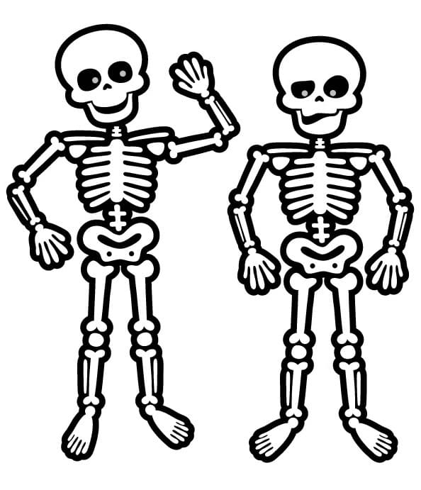 Cute skeletons coloring page