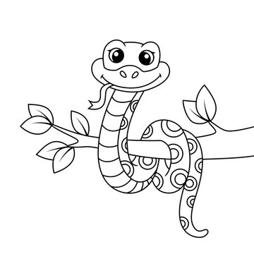 Coloring book snakes images â browse photos vectors and video