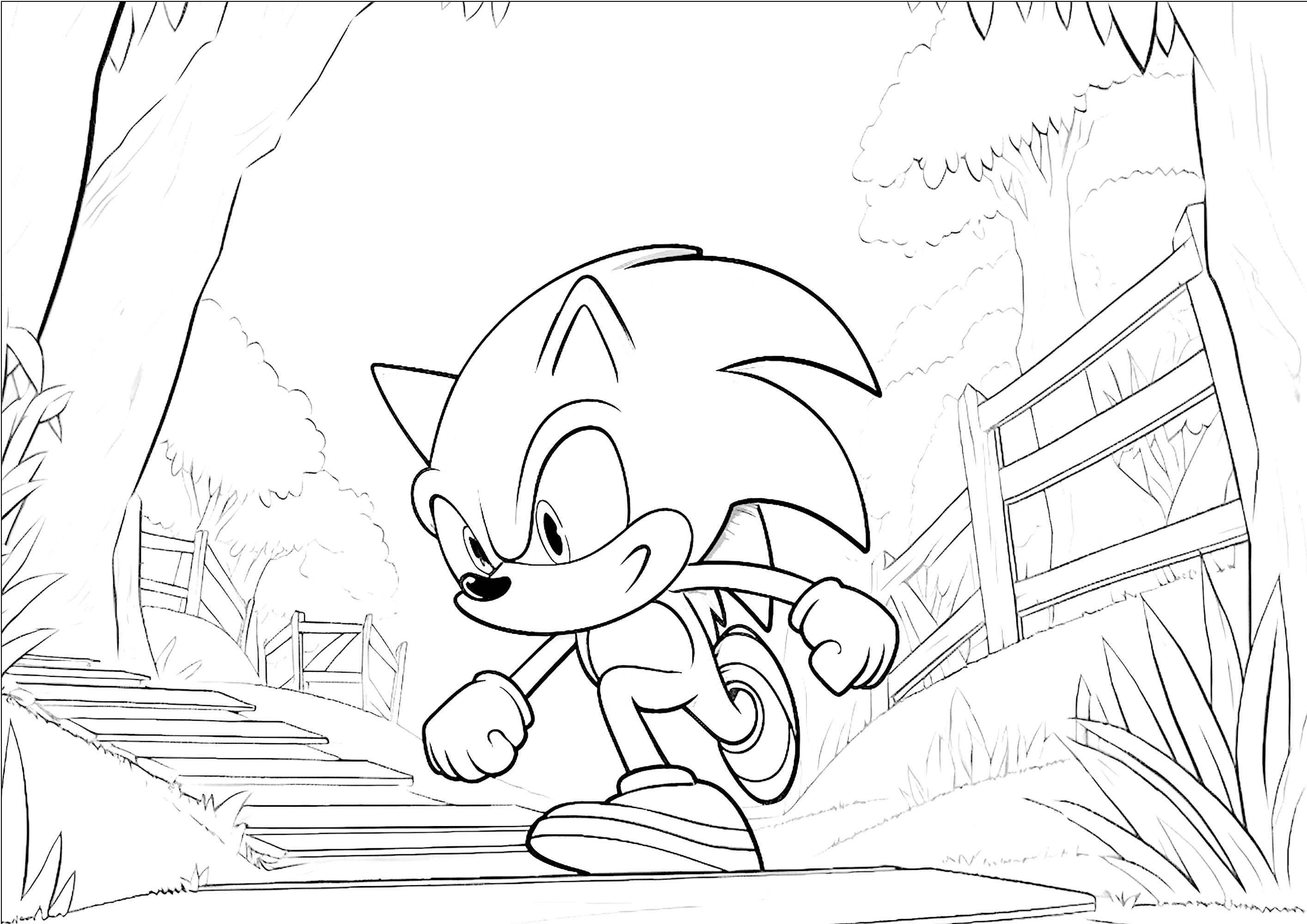 Sonic for kids