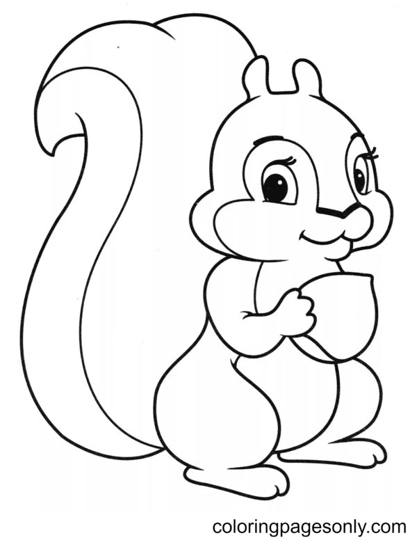 Squirrel coloring pages printable for free download