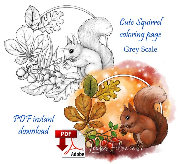 Coloring page grey scale cute squirrel autumn fall pdf download and print