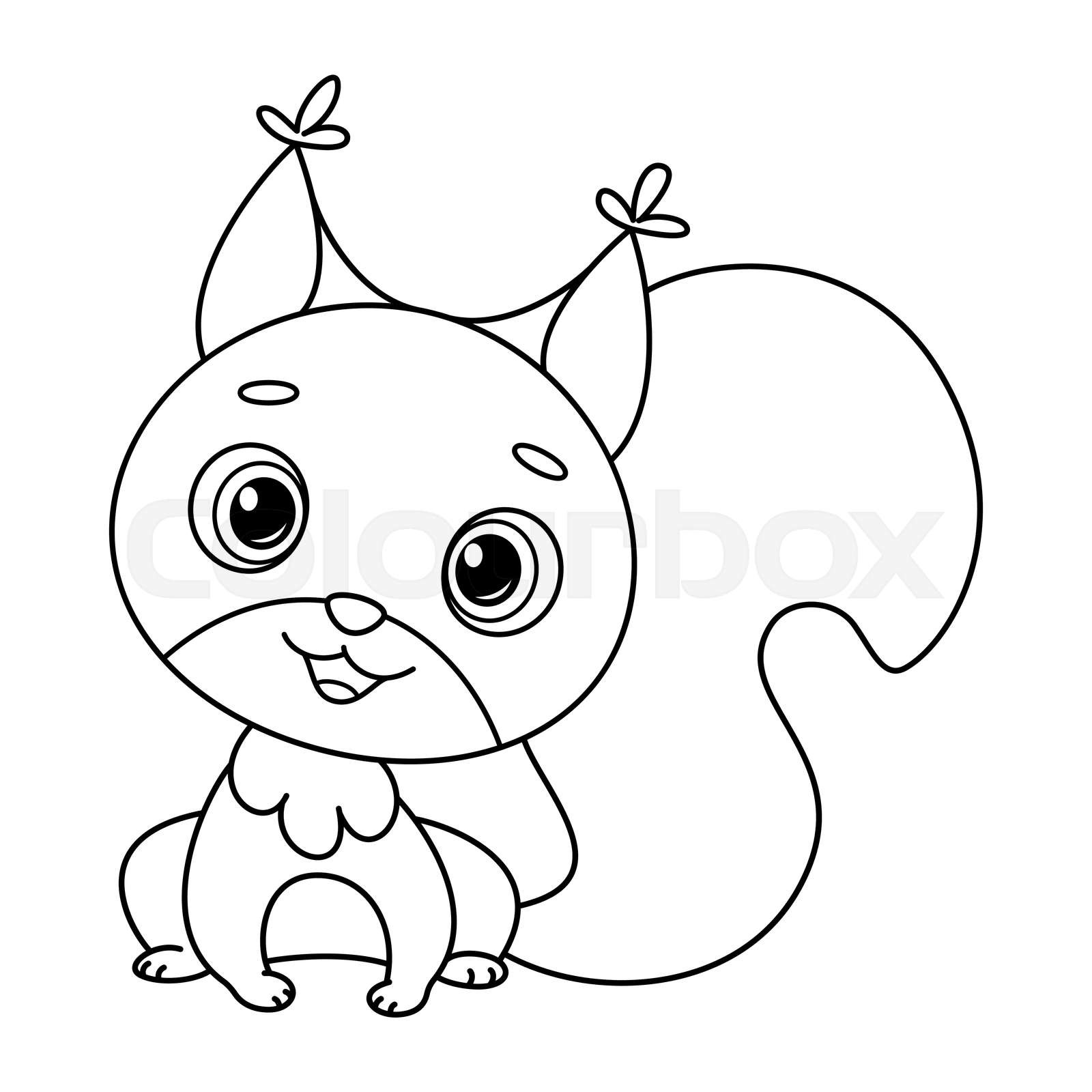 Cute squirrel coloring page cartoon vector illustration stock vector