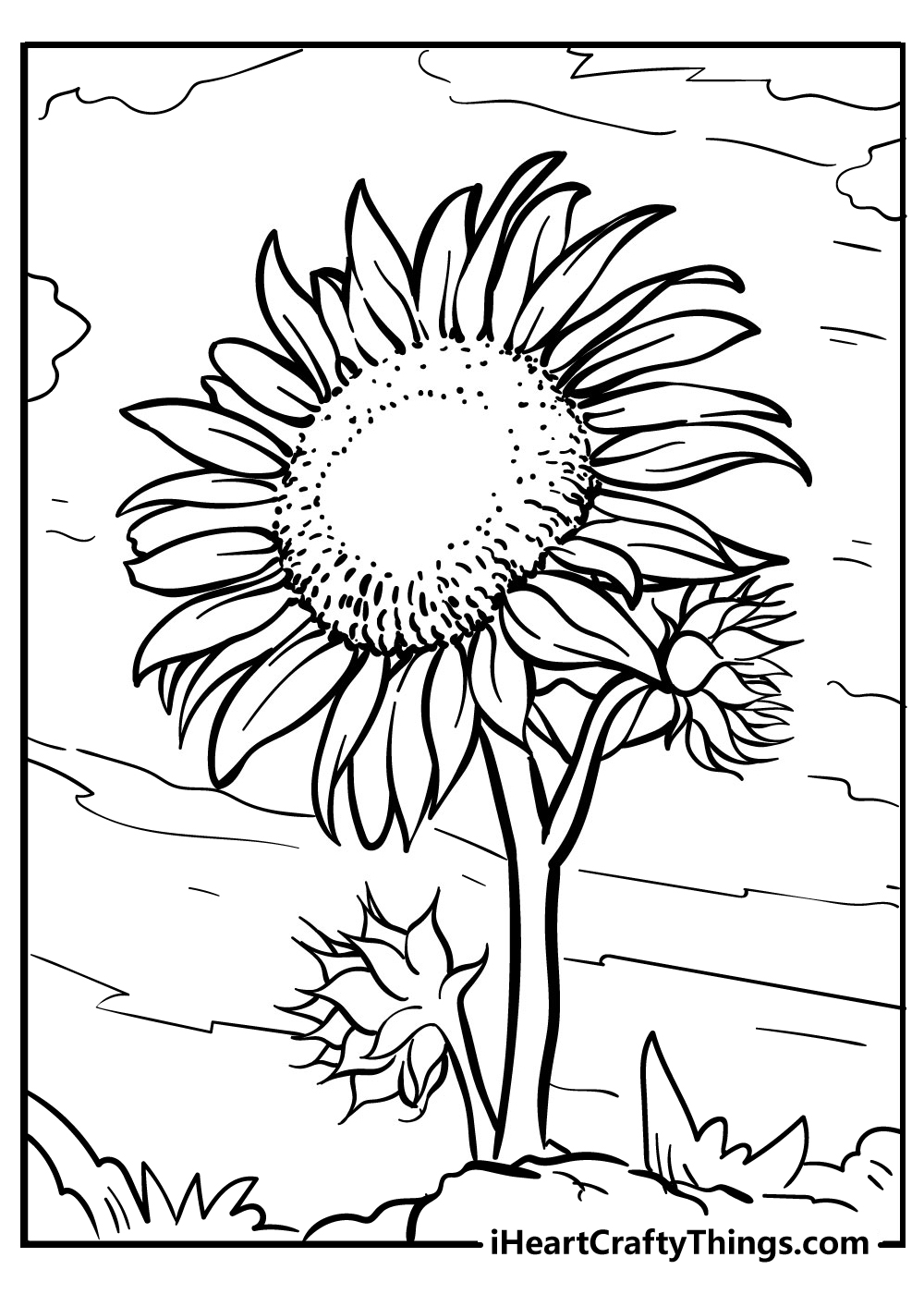 Sunflower coloring pages free printables