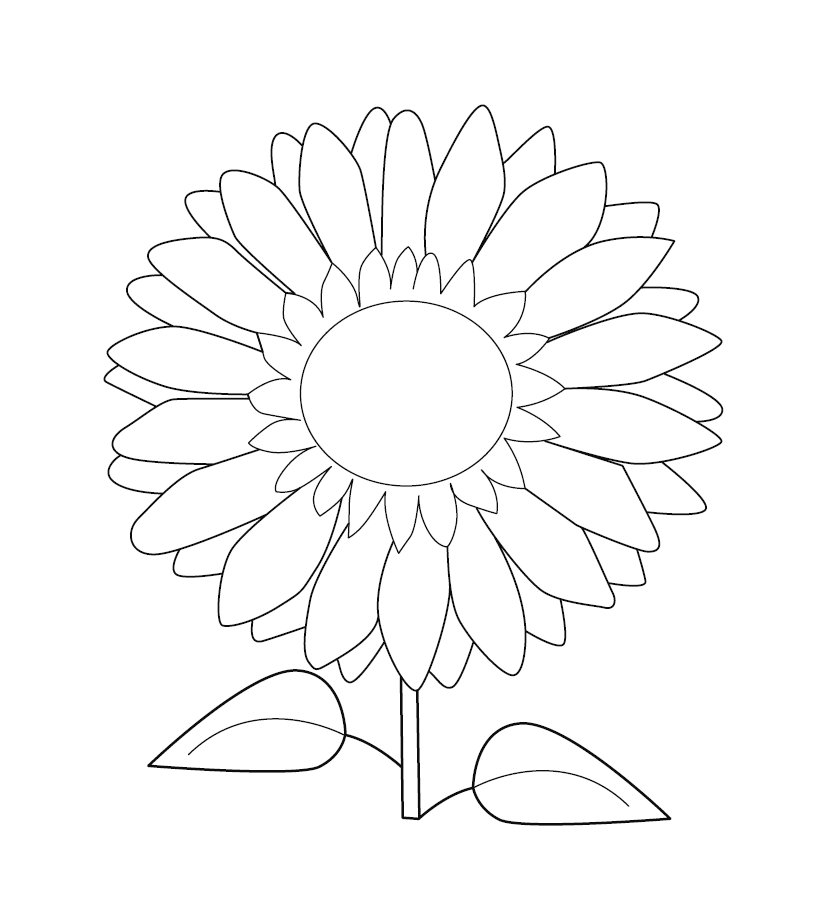 Sunflower colouring picture free colouring book for children â monkey pen store