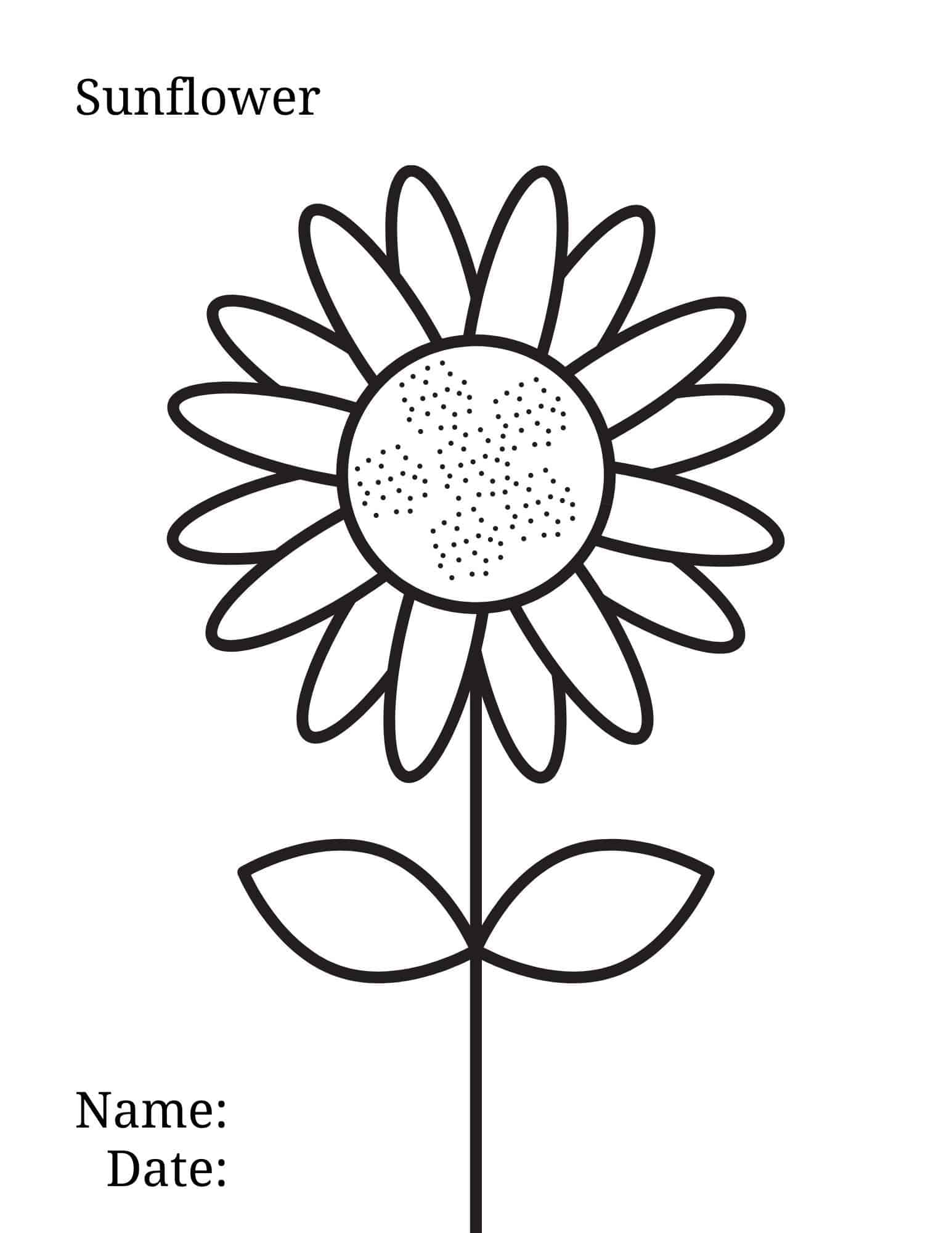 Sunflower coloring page ð ð brighten your day with floral fun