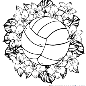 Volleyball coloring pages printable for free download