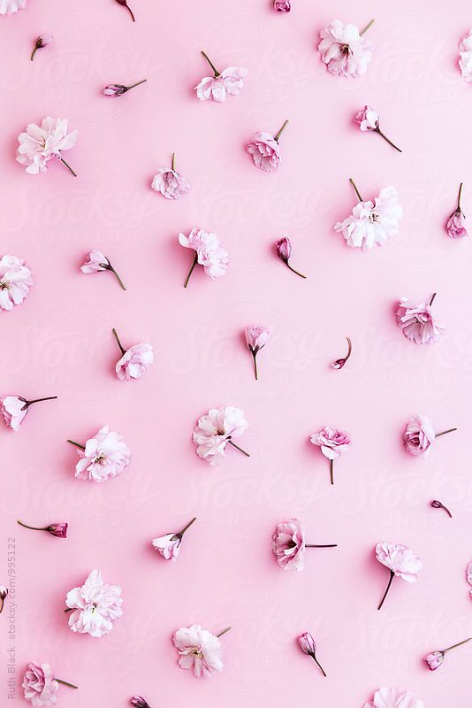 Free and customizable pink background templates