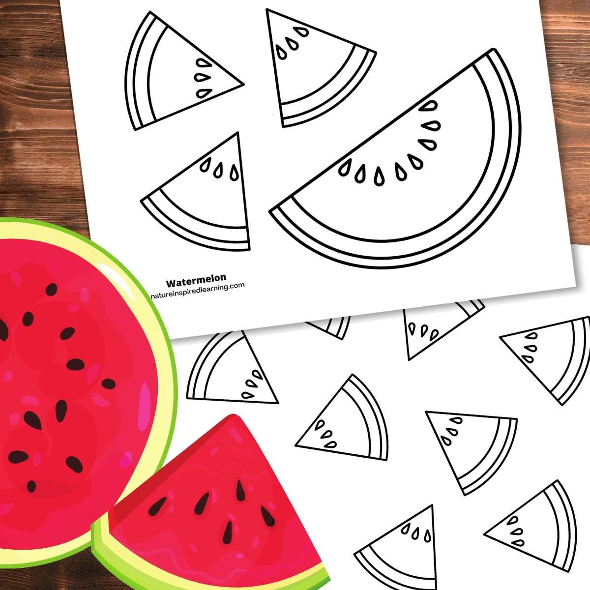 Watermelon coloring pages