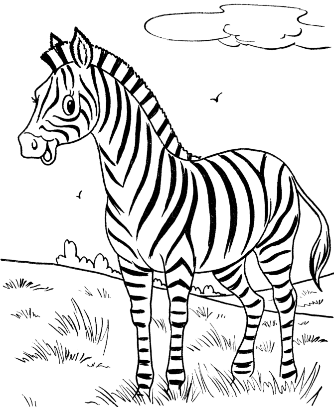 Free printable zebra coloring pages for kids zebra coloring pages animal coloring pages zoo animal coloring pages