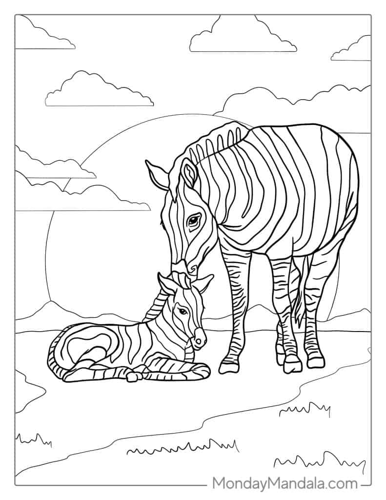 Zebra coloring pages free pdf printables