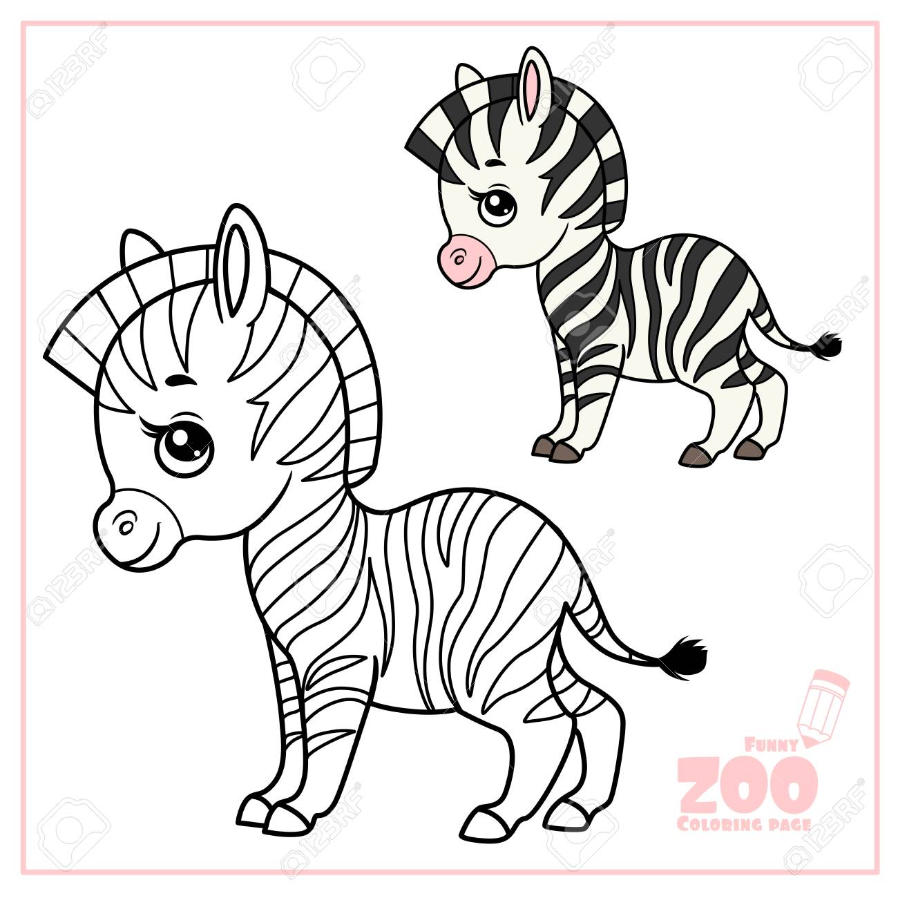 Cute cartoon little zebra color and outlined on a white for coloring page royalty free svg cliparts vectors and stock illustration image