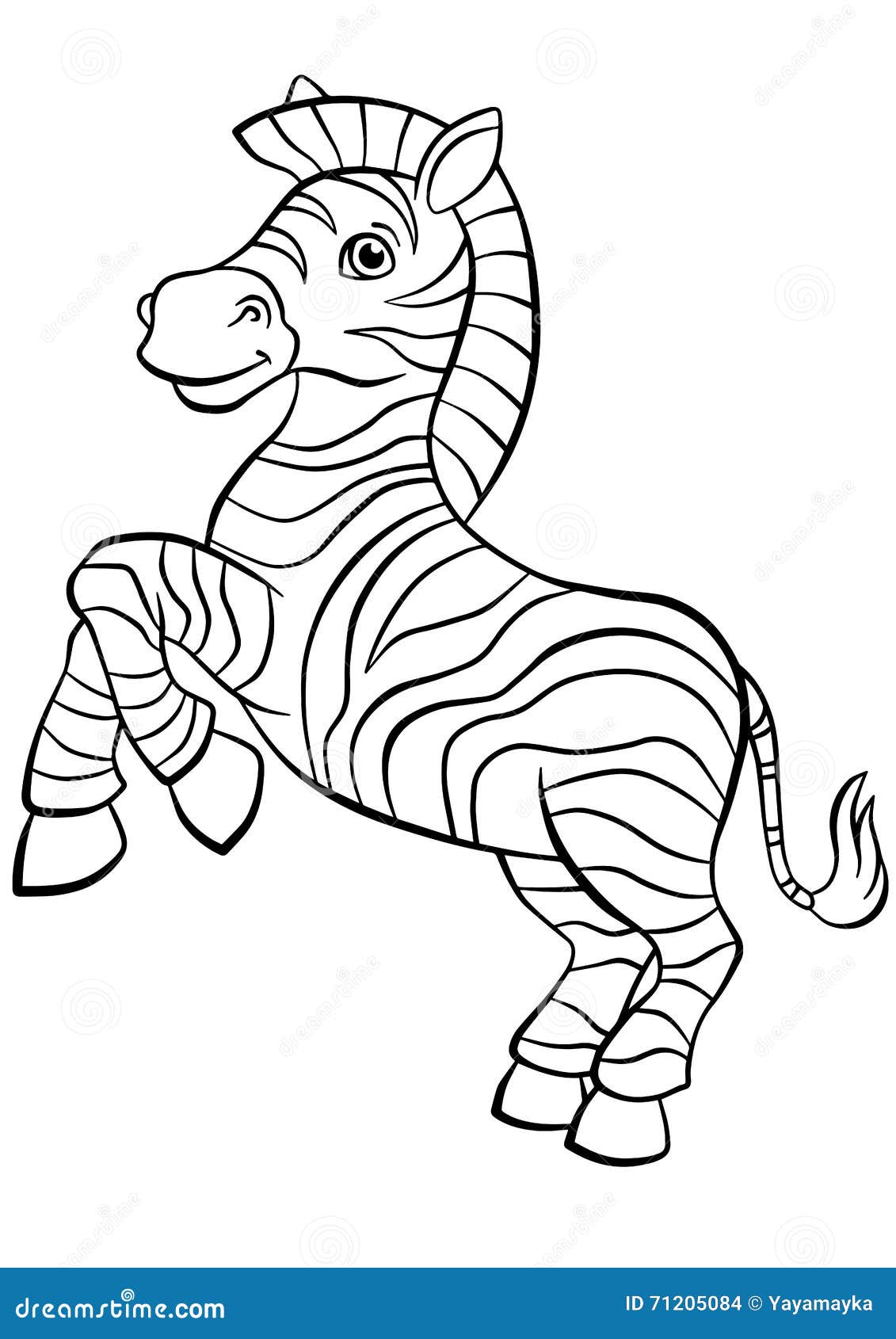 Coloring pages animals little cute zebra stock vector