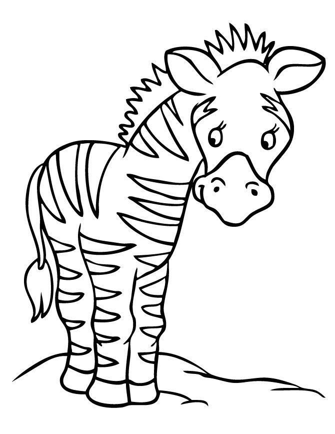 Printable zebra coloring pages zebra coloring pages animal coloring pages coloring pages