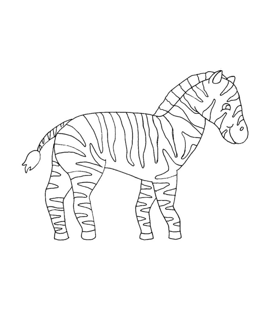 Top free printable zebra coloring pages online