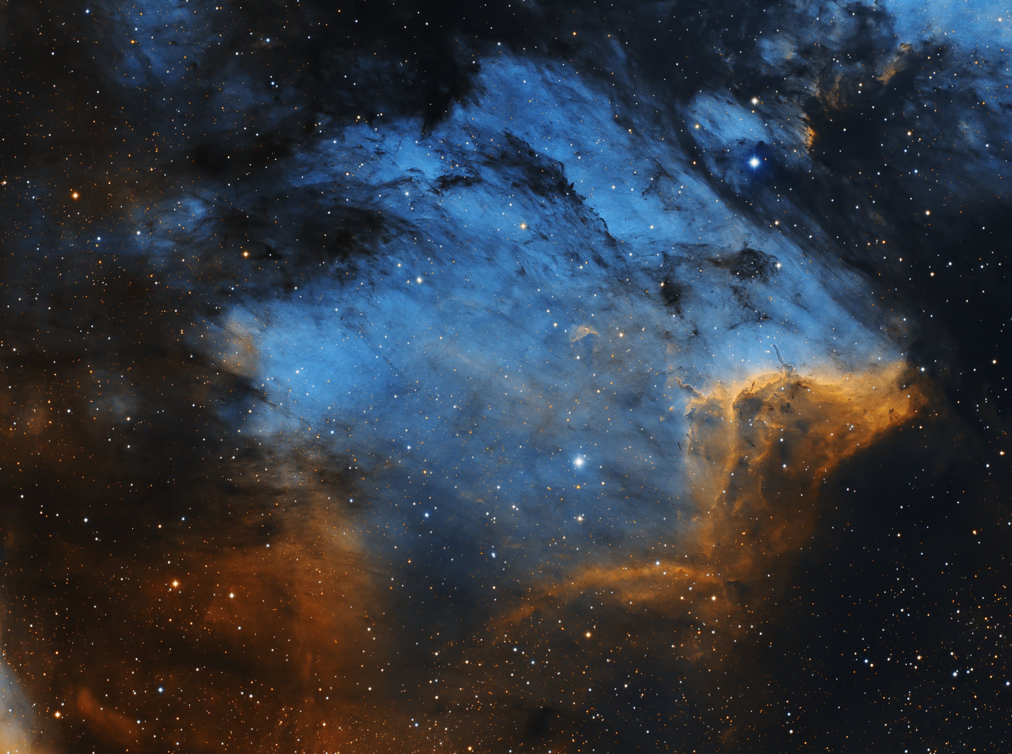 Galaxy pelican nebula nebula space cygnus constellation k wallpaper hdwallpaper desktop cygnus constellation nebula constellations