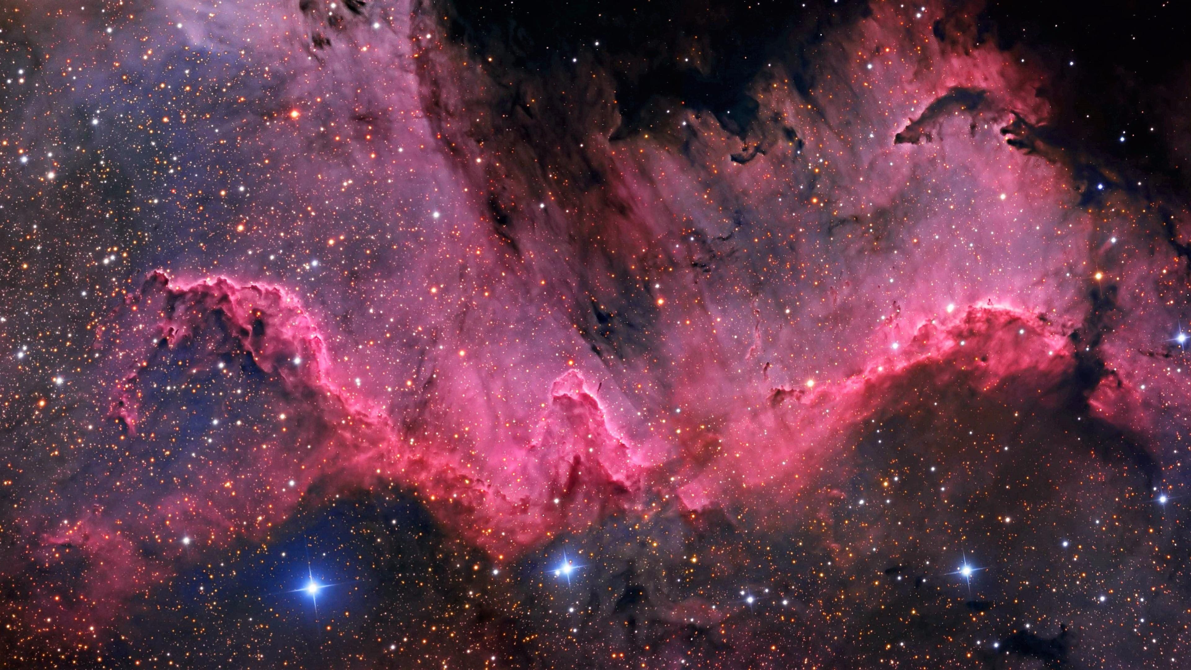 Nebula north america nebula ngc space cygnus stars universe k wallpaper hdwallpaper desktop nebula nebula wallpaper star wallpaper