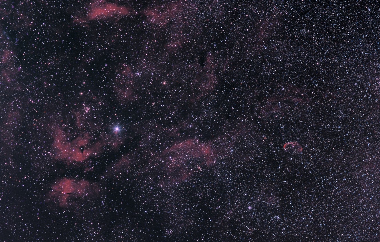 Wallpaper star second gamma cygnus the constellation of the swan brightness images for desktop section ðºðñððñ