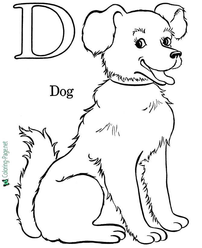 D is for dog