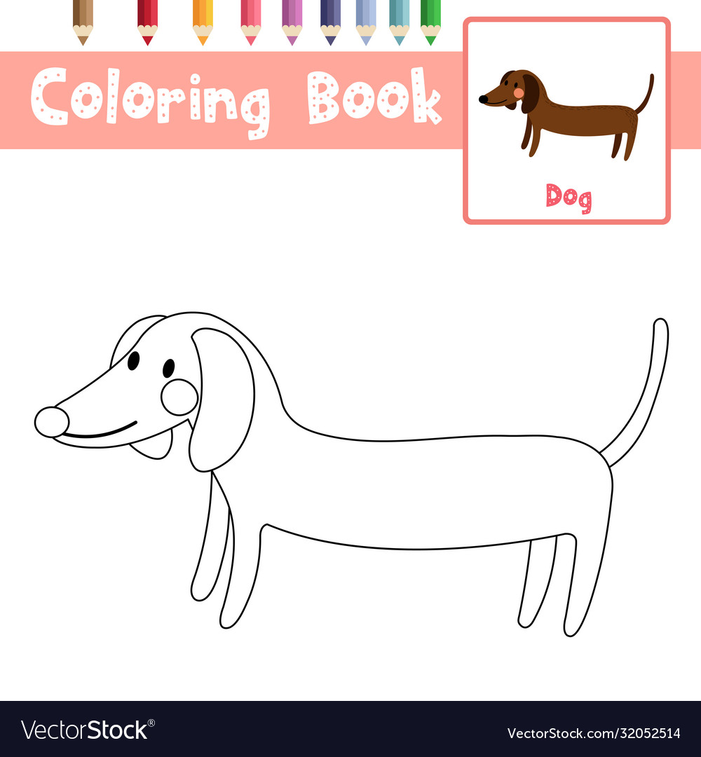 Coloring page side view dachshund animal cartoon vector image