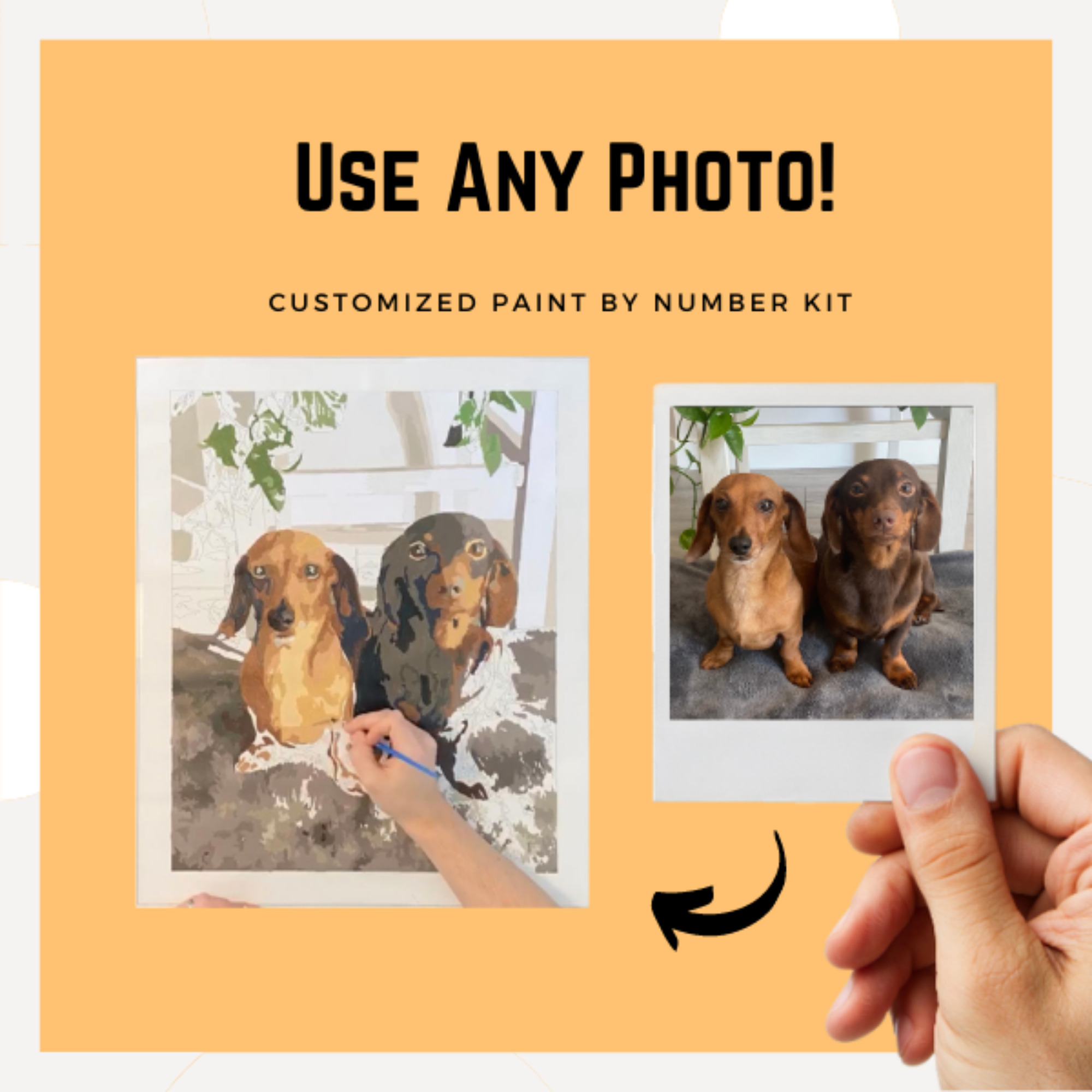 Custom paint by number kit paint your photo â pets by numbers