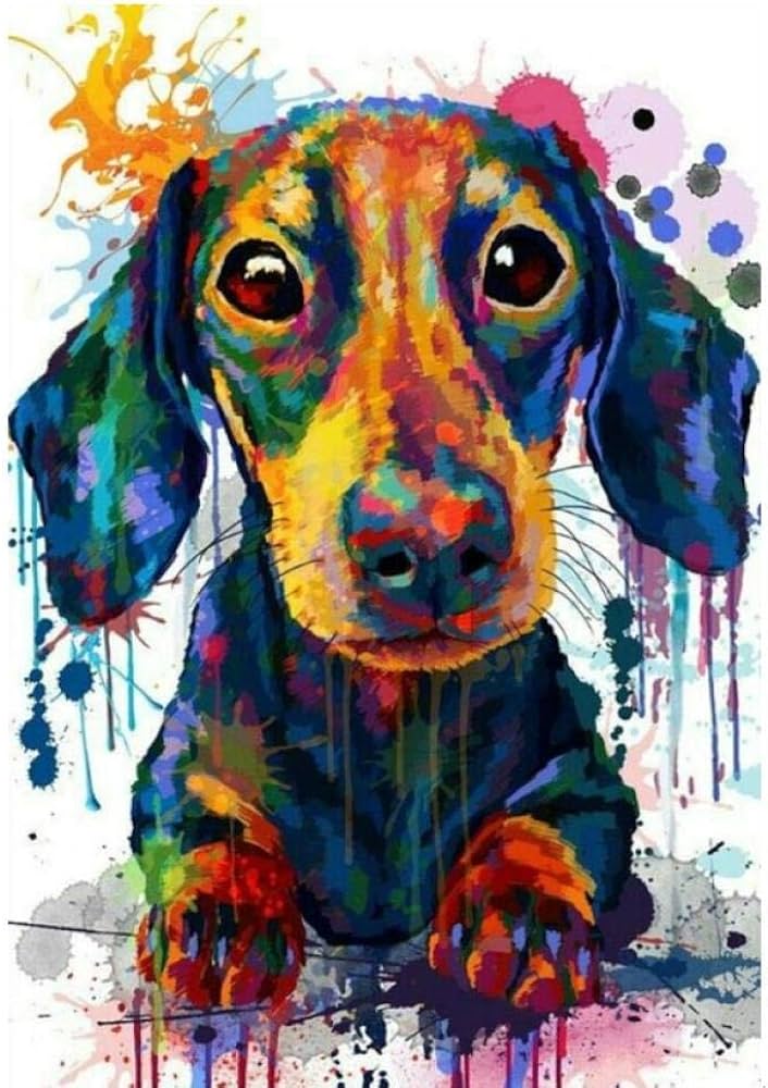 Heshs diy paint by numbers for adults dachshund cute pets canvas painting abstract dog art wall poster modern bedroom mural kidscm home kitchen