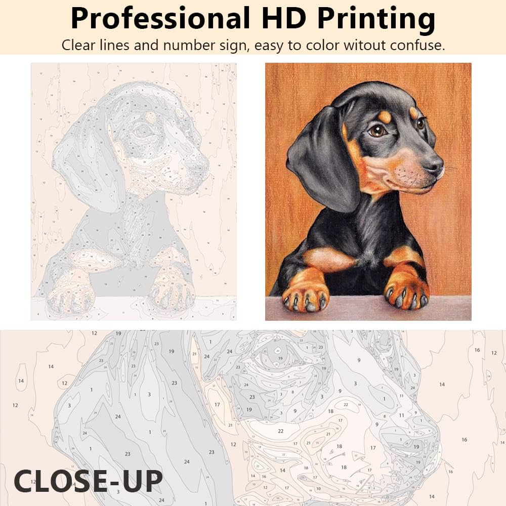 Tishiron paint by numbers for adults dachshund diy oil painting animals paint by number kit dog paint by numbers for beginner paint by number kits on canvas x inch frameless