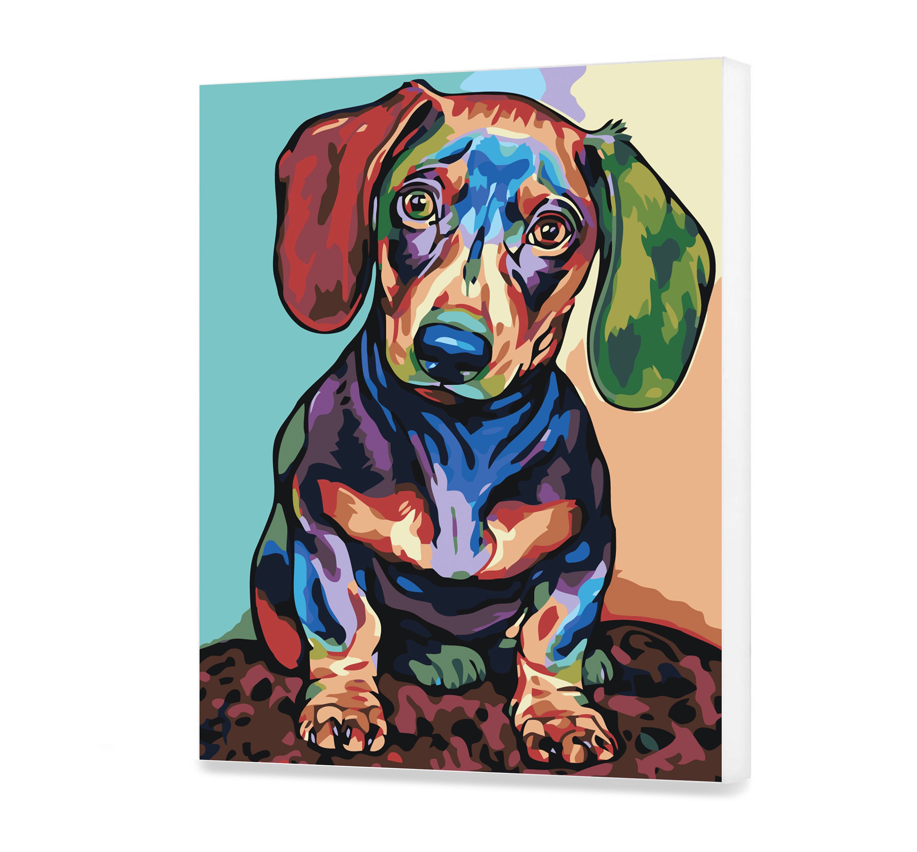 Colorful dachshund diy set painting by numbers animal art high