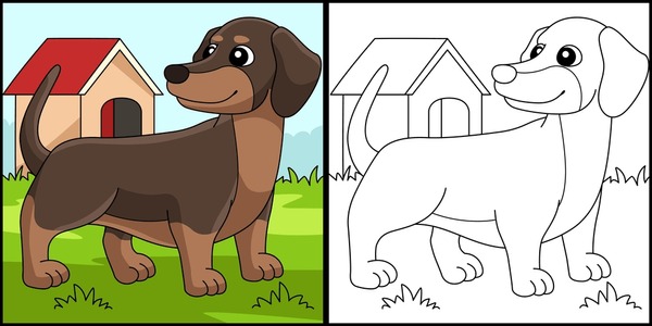 Dachshund coloring pages royalty