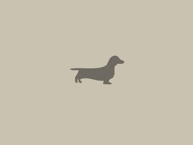 Dachshund dog minimalism wallpaper hd vector k wallpapers images photos and background