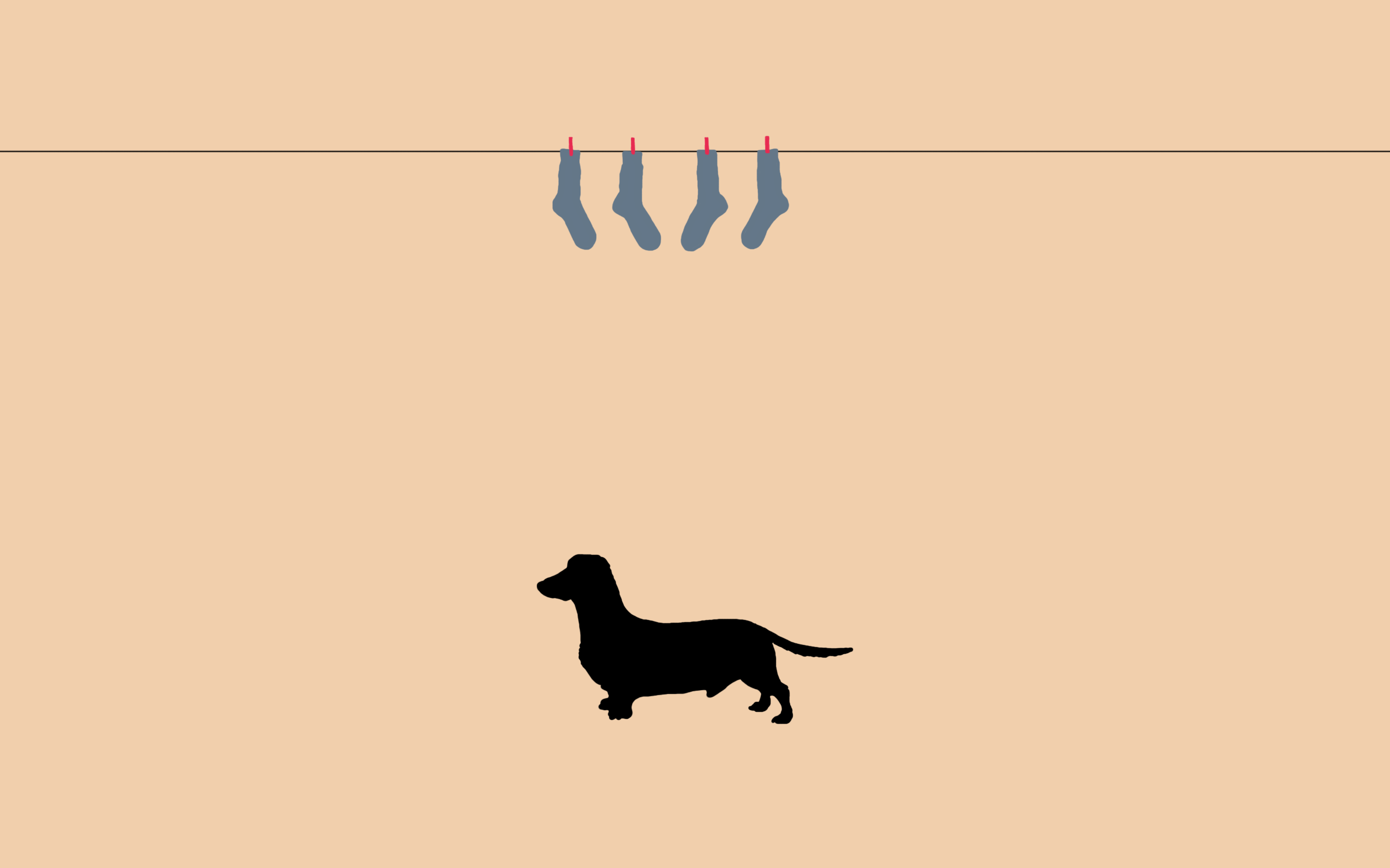 Browse dachshund design dachshund daschund