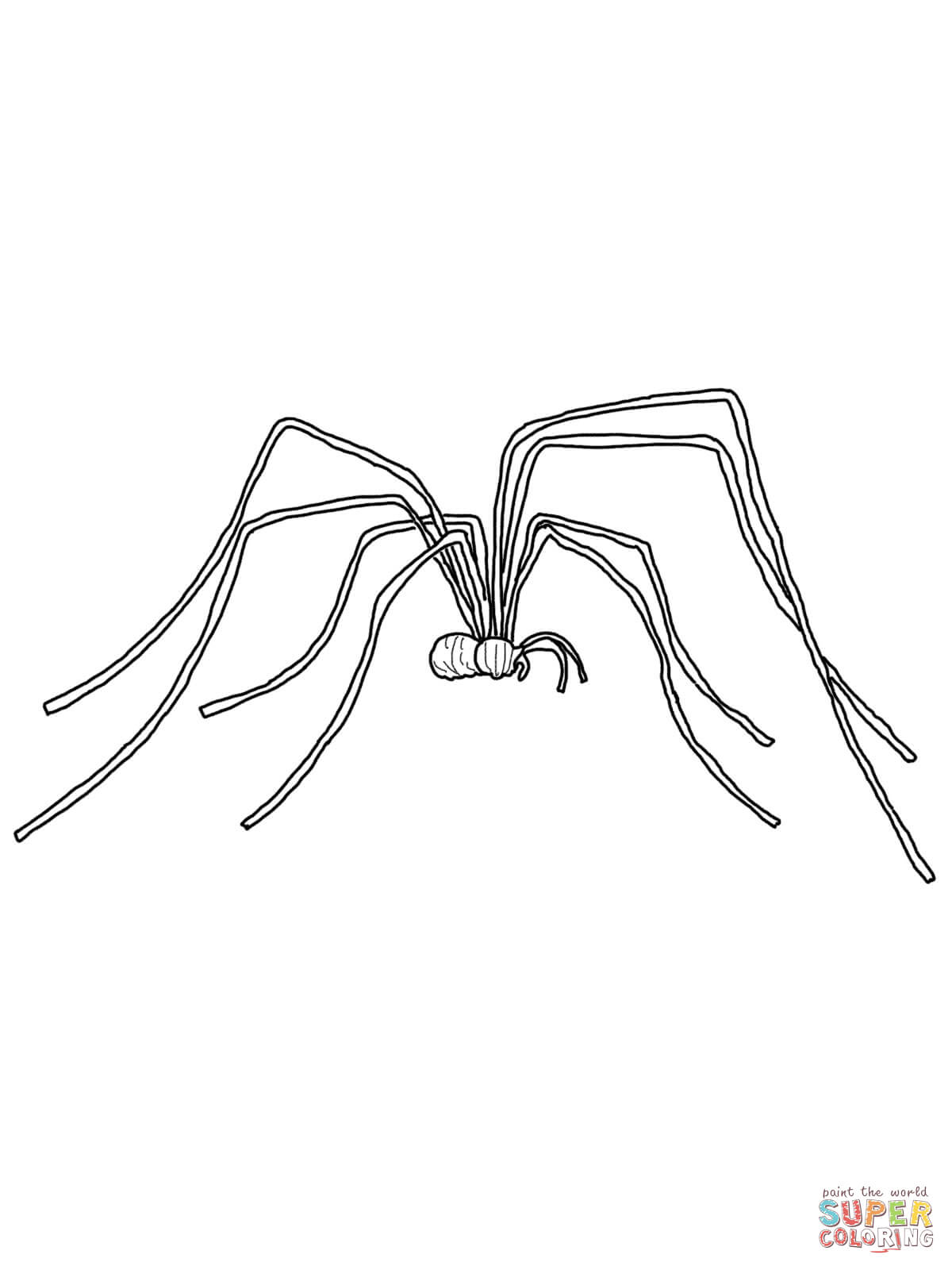 Daddy long legs coloring page free printable coloring pages