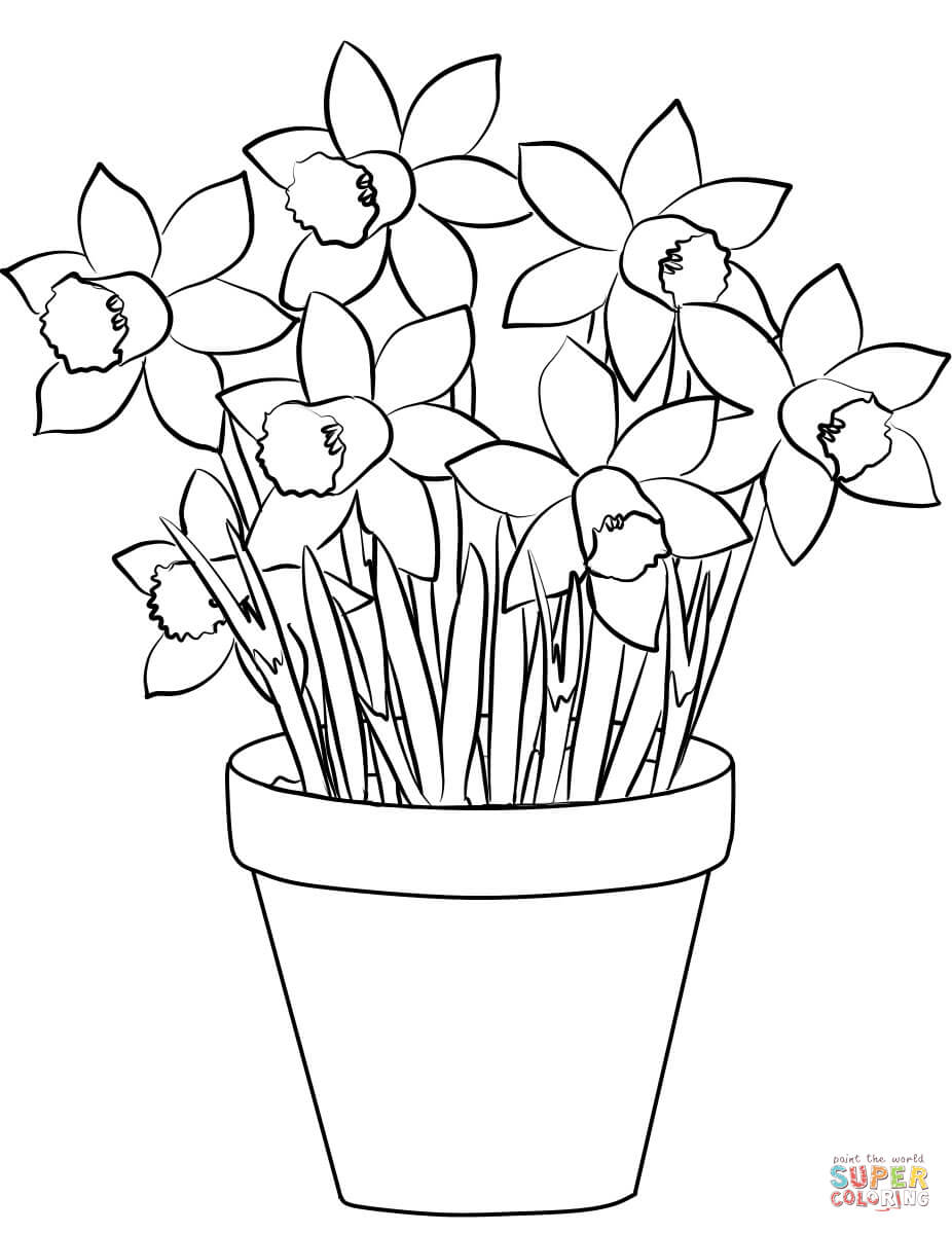 Daffodils coloring page free printable coloring pages