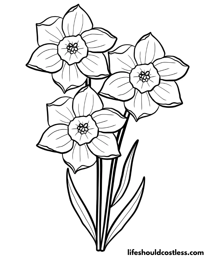 Daffodil coloring pages free printable pdf templates