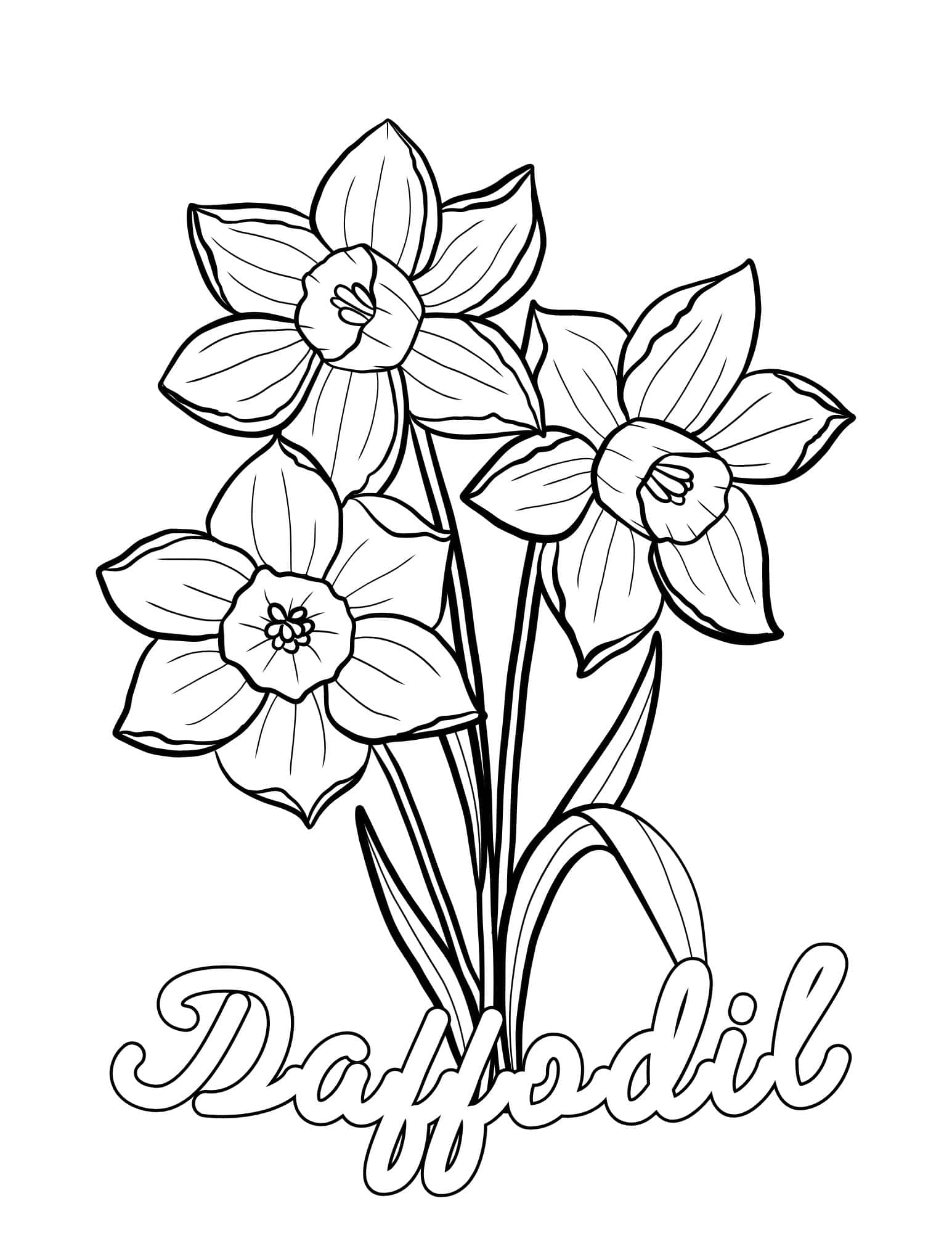 Stunning flower coloring pages for kids and adults