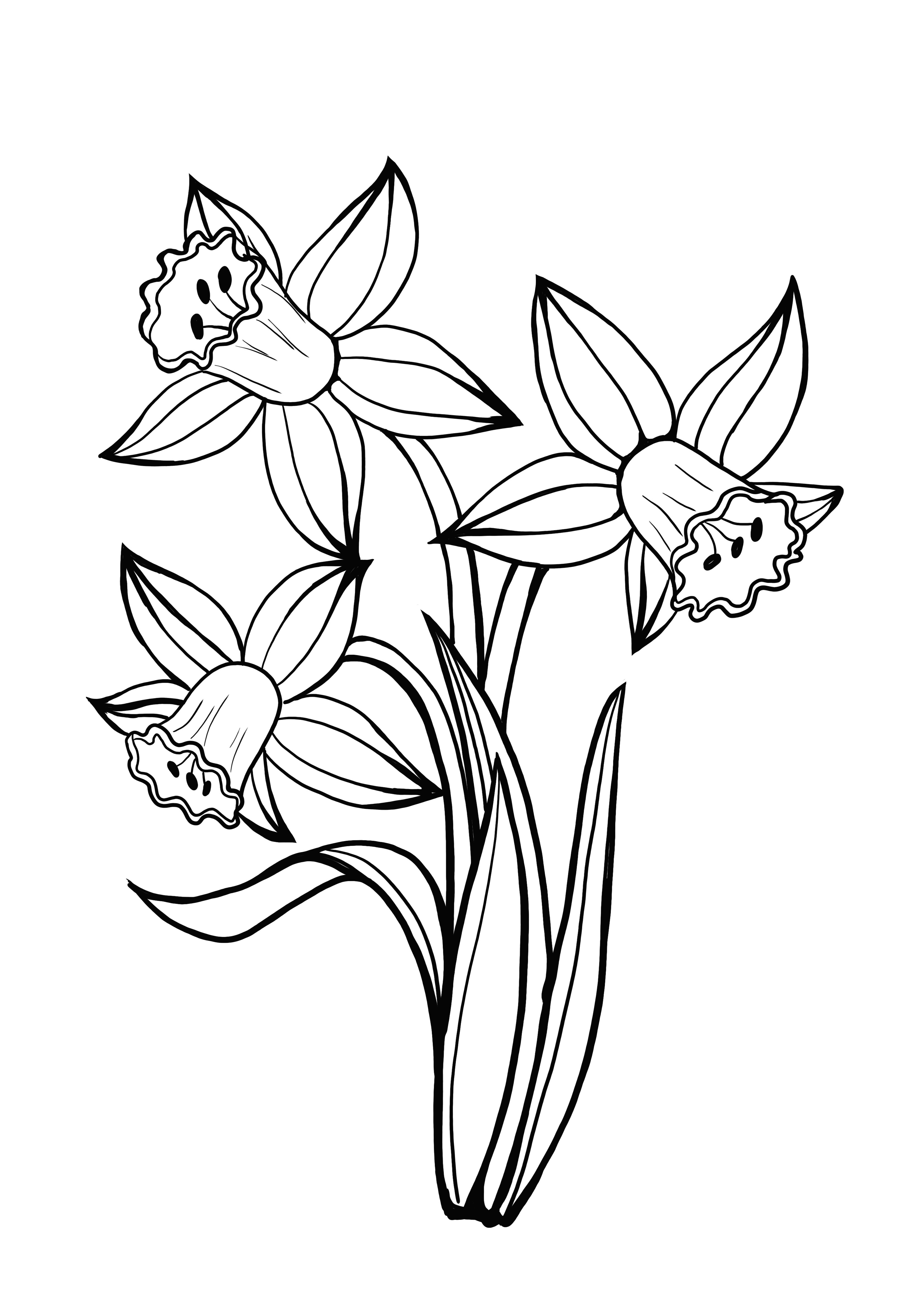 Free printable daffodil coloring page