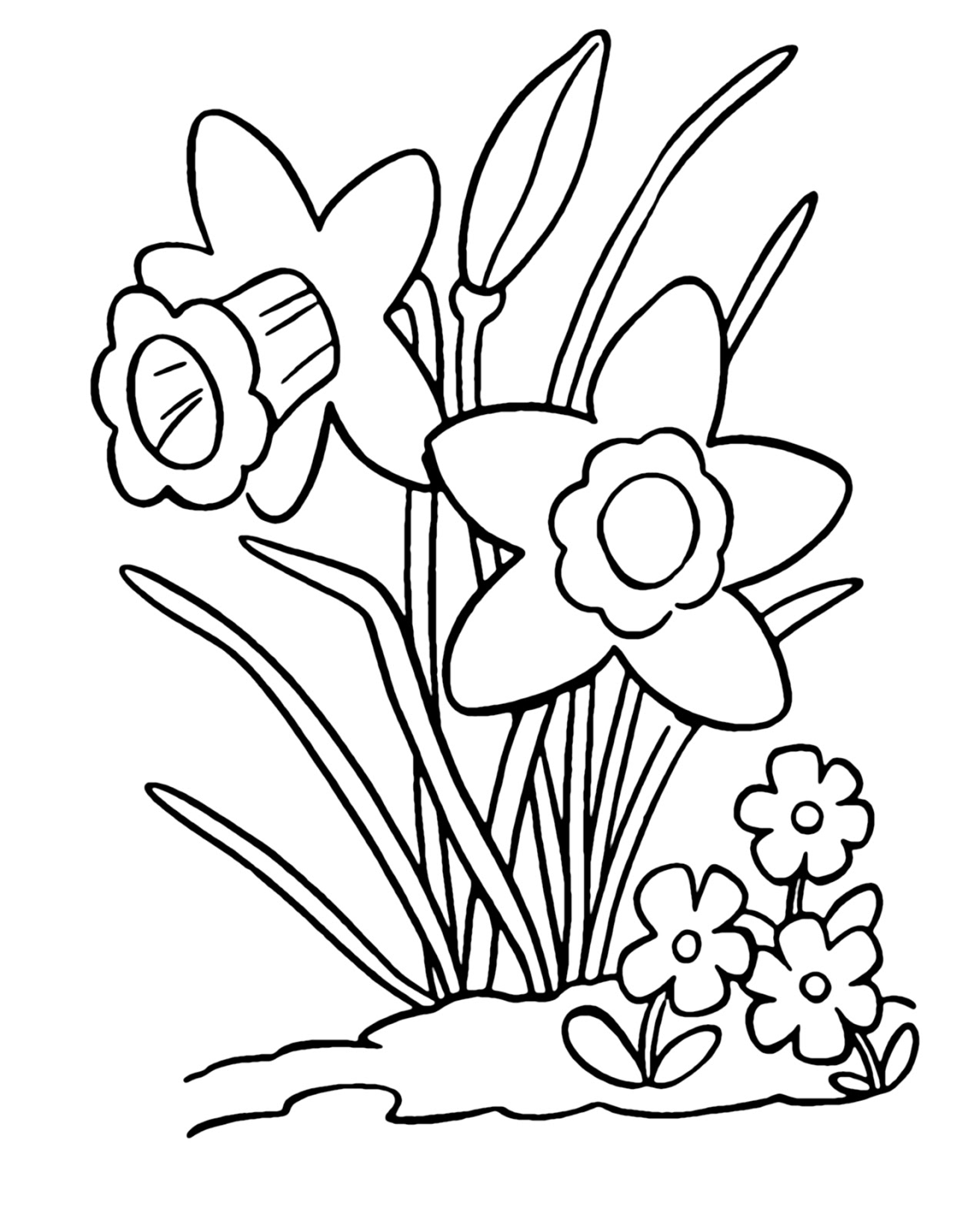 Daffodil coloring pages