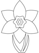 Daffodil coloring pages free coloring pages