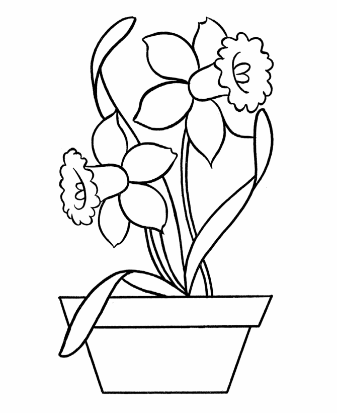 Daffodil coloring pages printable for free download