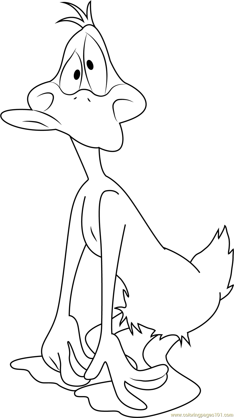 Cute daffy duck coloring page for kids