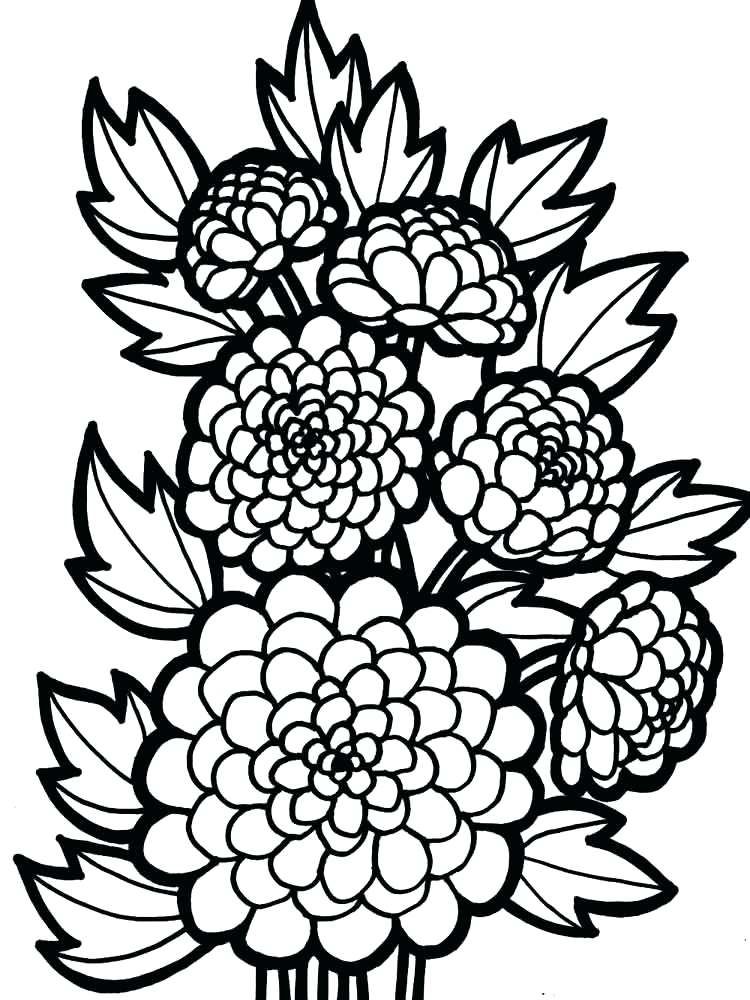 Dahlia coloring pages