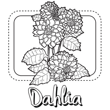 Dahlia flower coloring pagebook by scworkspace tpt