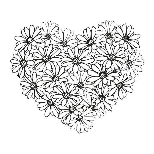 Daisy hearts frame with hand drawn flower stock illustration