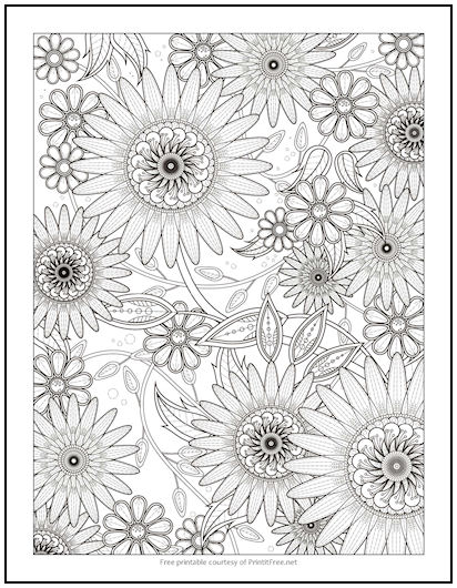 Floating daisies coloring page print it free