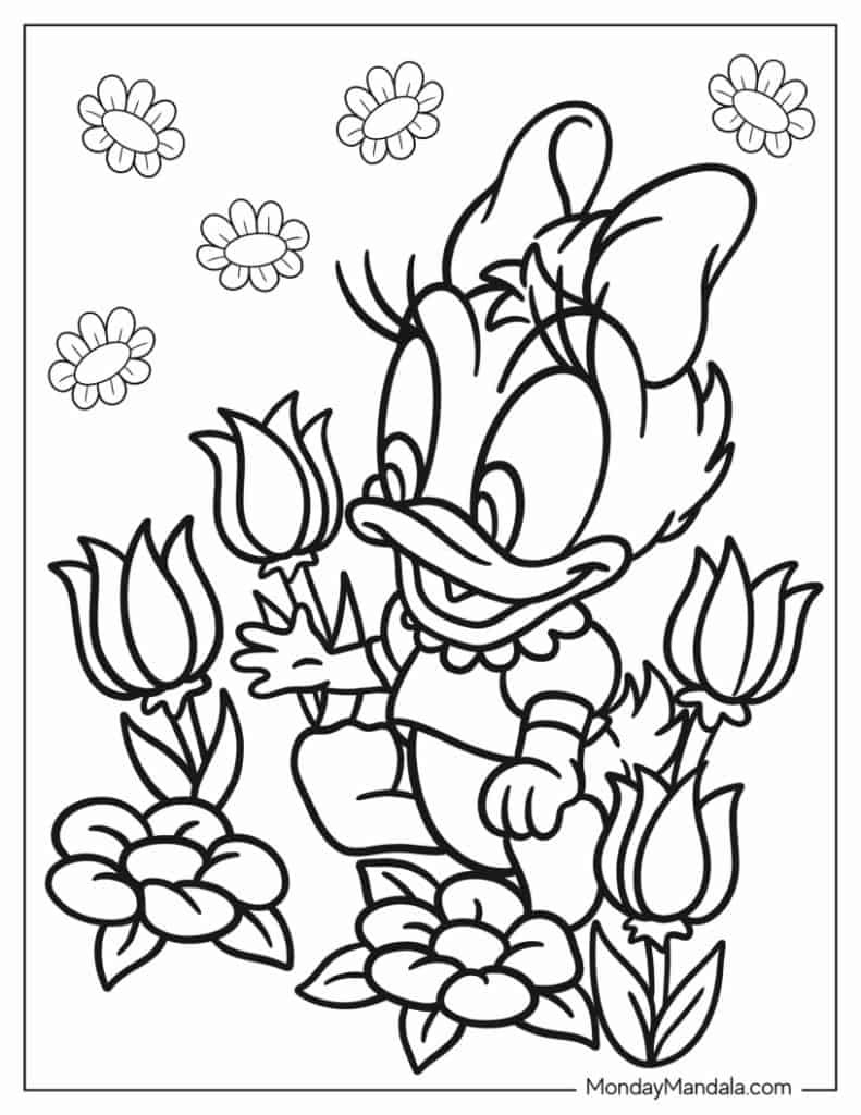 Daisy duck coloring pages free pdf printables