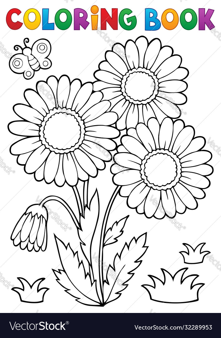 Coloring book daisy flower image royalty free vector image