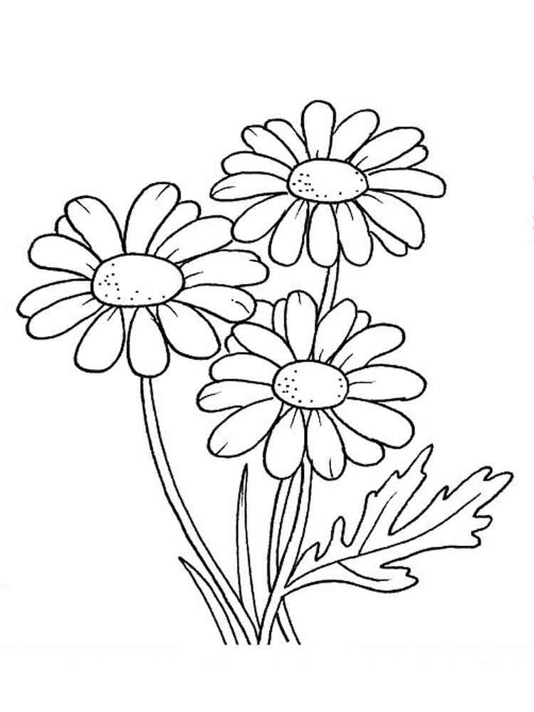 Daisy coloring pages